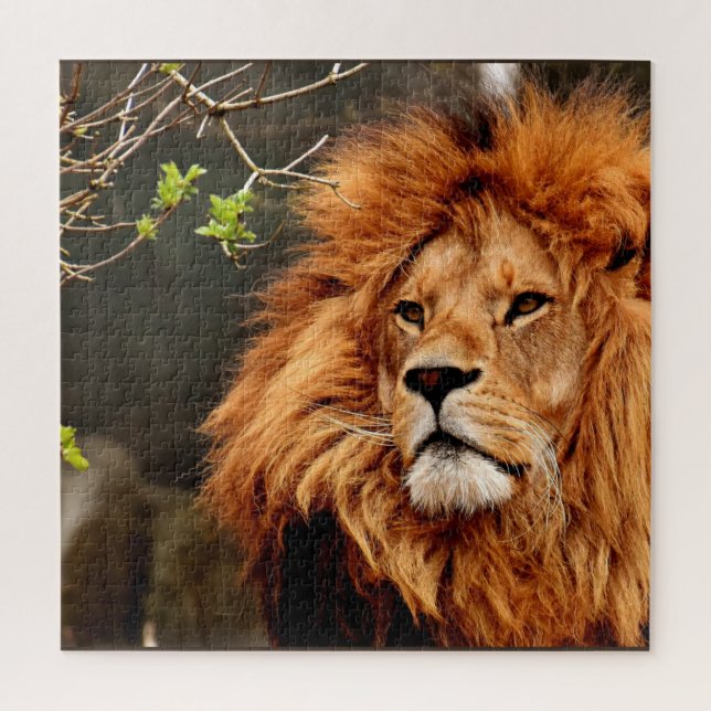 Lion, King of the Jungle Jigsaw Puzzle (Vertical)