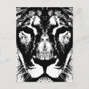 Lion King Postcard