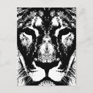 Lion King Postcard