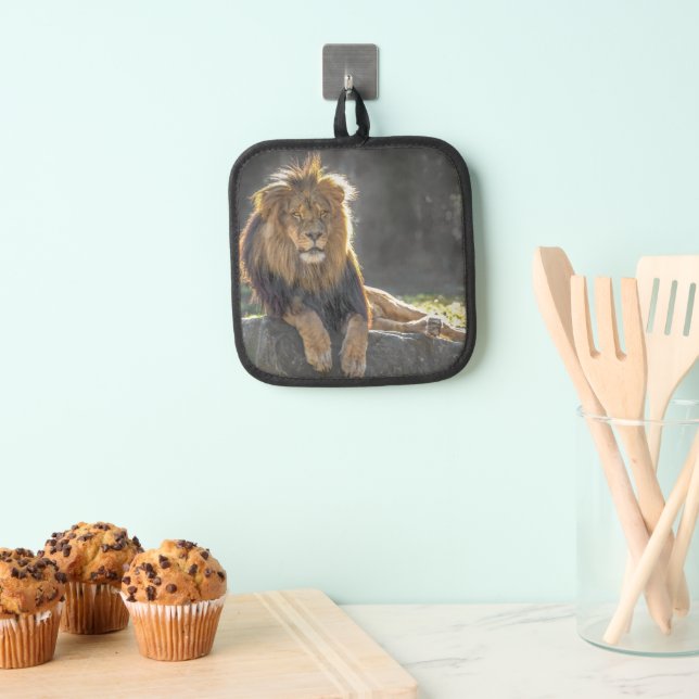 Lion King Pot Holder (Insitu(Hanging))