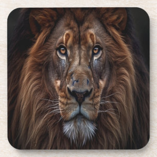 Lion King with a serious expression Coaster