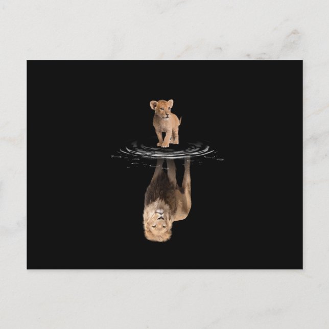 Lion Life Lion Love King Lion Announcement Postcard (Front)