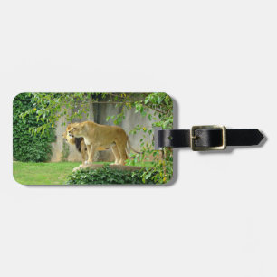 Lion Lioness Luggage Tag