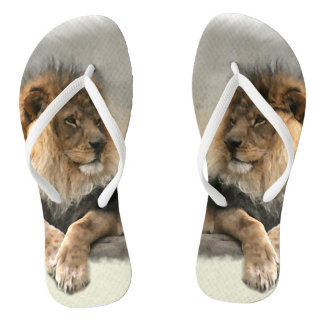 Lion Lover Jandals