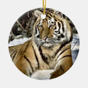Lion Lovers Art Ceramic Tree Decoration