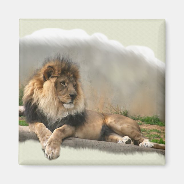 Lion Lovers Art Gifts Magnet (Front)