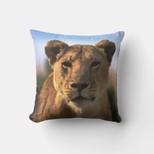 Lion Lovers Female Lioness Cushion