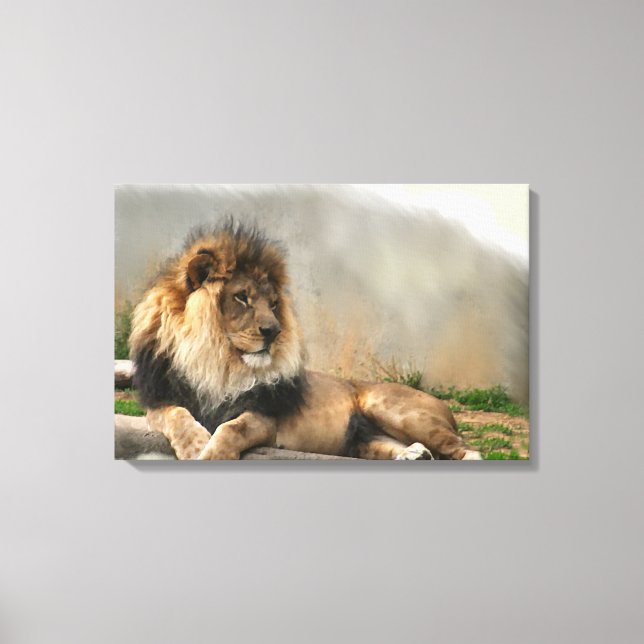 Lion Lovers King Of the Jungle Canvas Print (Front)