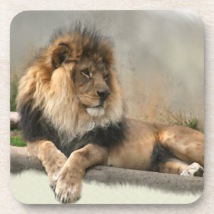 Lion Lovers King of the Jungle Coaster