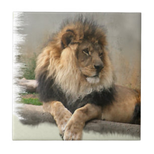 Lion Lovers King of the Jungle Tile