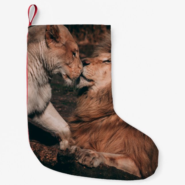 LION LYING ON BROWN ROCK SMALL CHRISTMAS STOCKING (Front)