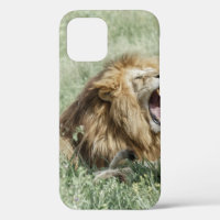 LION LYING ON GREEN GRASS DURING DAYTIME