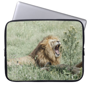 LION LYING ON GREEN GRASS DURING DAYTIME LAPTOP SLEEVE
