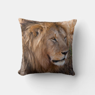 Lion Maasai Mara National Reserve, Kenya Cushion