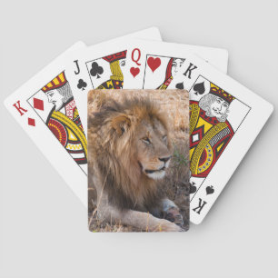 Lion Maasai Mara National Reserve, Kenya Playing Cards