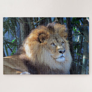 lion mane jigsaw puzzle