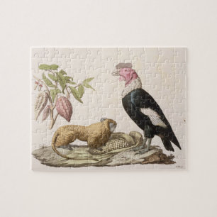 Lion monkey and condor, native to Chile or Ecuador Jigsaw Puzzle