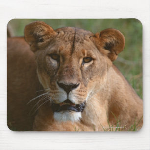 Lion Mouse Pad