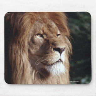lion mouse pad