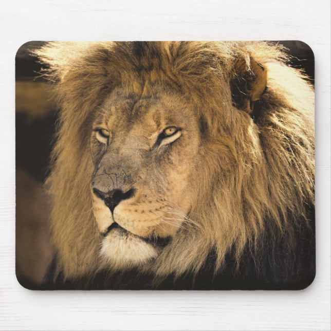 Lion Mouse Pad (Front)