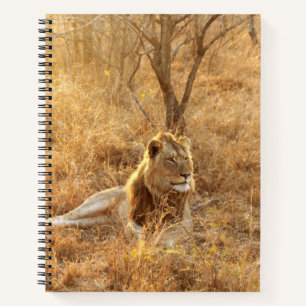 Lion Notebook