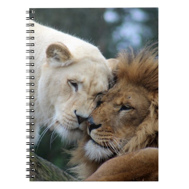 Lion Notebook (Front)
