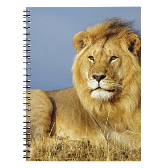 Lion Notebook (Front)