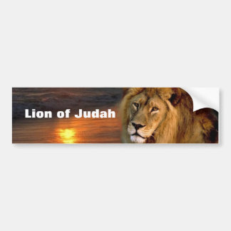 Lion of Judah Collection Bumper Sticker