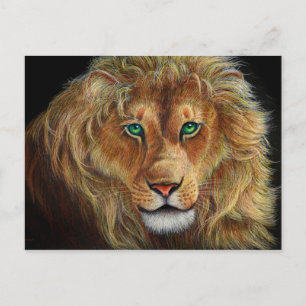 lion of Judah Postcard