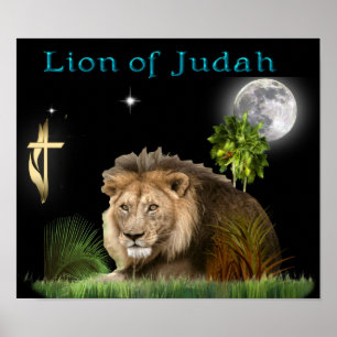 Lion of judah Poster