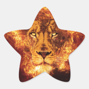 Lion on Fire Star Sticker