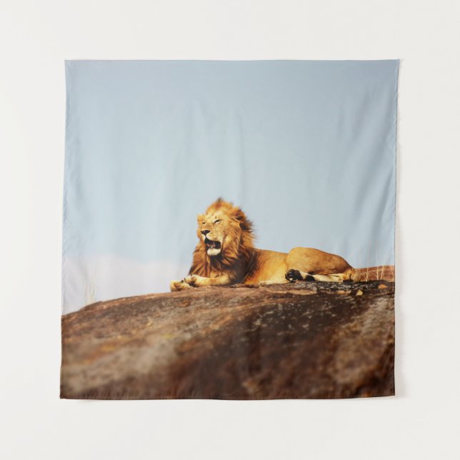 LION ON GROUND DURING DAYTIME TAPESTRY (Front)