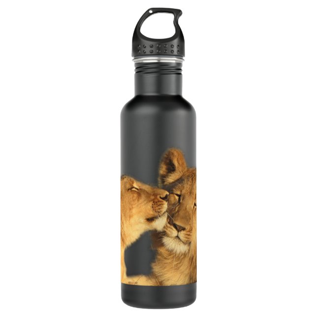 Lion Pair stainless steel water bottel 710 Ml Water Bottle (Front)