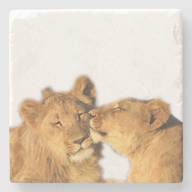 Lion Pair Stone Coaster (Front)
