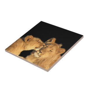 Lion Pair Tile (or make into keepsake box)