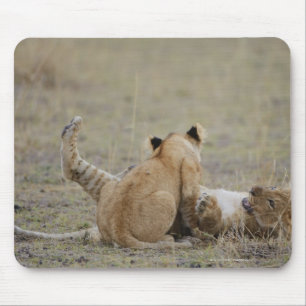 Lion (Panthera leo) cubs playing in grass, Masai Mouse Pad