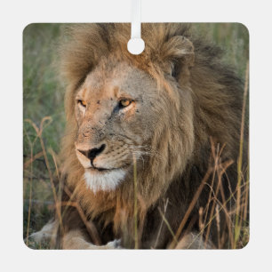 LION Personalise Name Photo Christmas Metal Tree Decoration