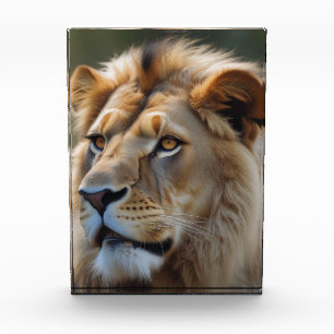Lion Photo Block