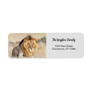 Lion photo personalised Return Address Label