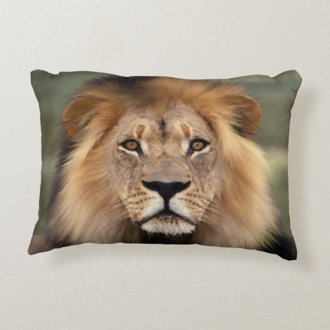 Lion Photograph Decorative Cushion (Back)