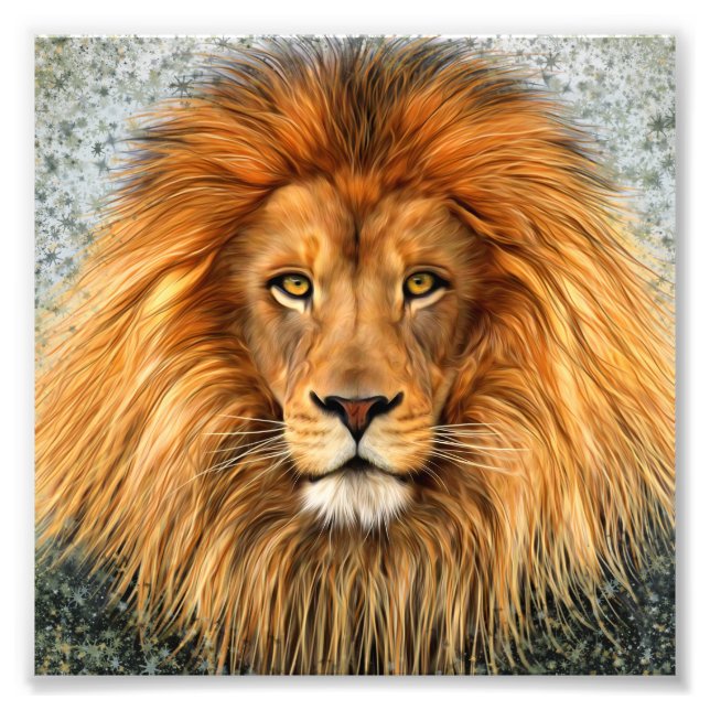 Lion Photograph Paint Art image (Front)