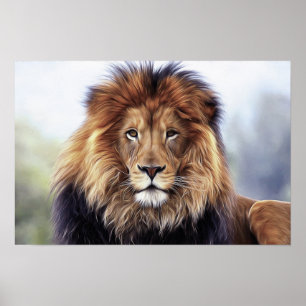 LION PHOTOGRAPHY POSTER
