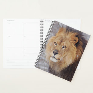 Lion Planner