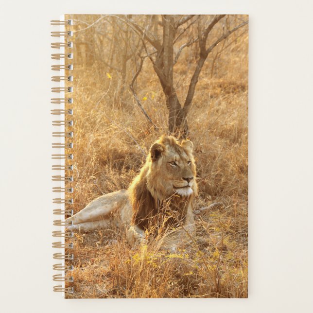 Lion Planner (Front)