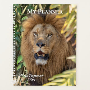 Lion Planner