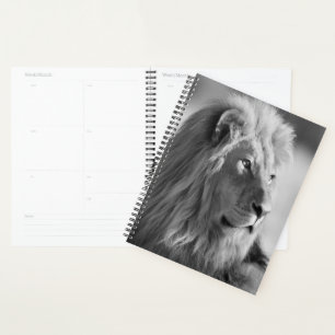 Lion Planner
