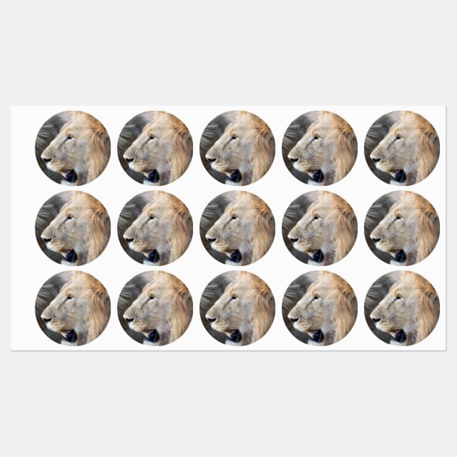 Lion Portrait (Sheet)