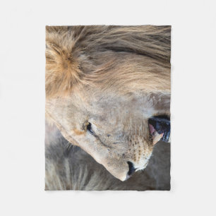 Lion Portrait Fleece Blanket