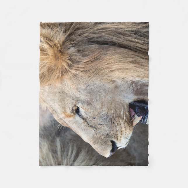 Lion Portrait Fleece Blanket (Front)
