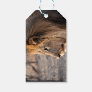 Lion Portrait Gift Tags